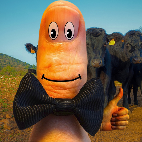 A thumb modified to have two eyes and smiling while wearing a bow tie an the left had is giving the thumbs up gesture with cattle in the background 